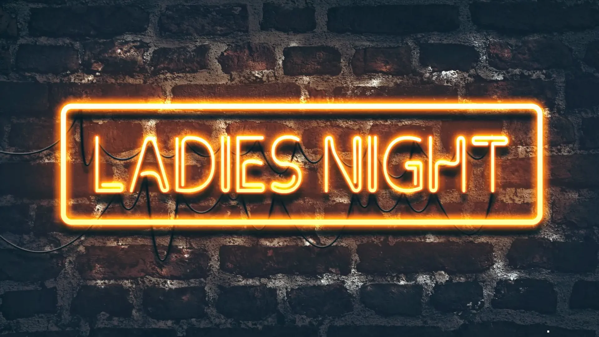 ladies night