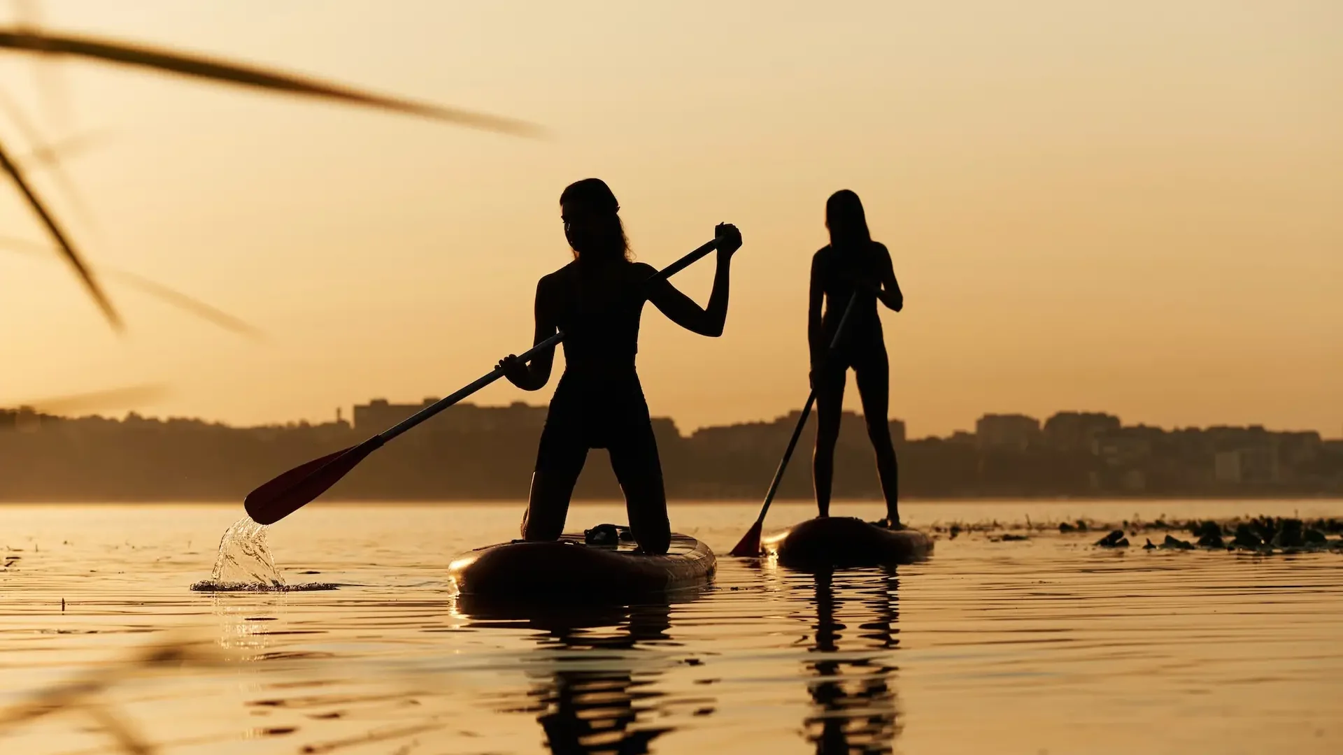 Summertime activities. Women friends are on sup board on the lake together.